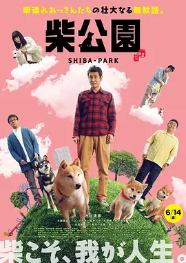 91先生在线观看